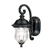 13-Inch Outdoor Wall Light