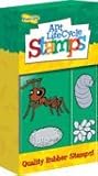 Ant Life Cycle Stamps