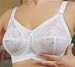 Elila Lace Softcup