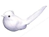 Accent Design Floral and Garden Accents Medium Bird Wren White 3 1/2 Feather