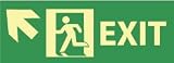 NMC Exit(up Lft Arrow)rigd Glow Direction Sgn