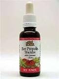 Natural Factors - Bee Propolis Tincture 65% Extract 1 oz