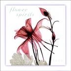 Flower Spirits 2009 Wall Calendar