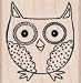 Big Hoot Wood Mounted Stamp (Hero Arts)