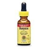Burdock Root Extract - Promotes Healthy Blood Levels, 1 oz., (Nature s Answer)