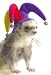 MARSHALL FERRET JESTER HAT