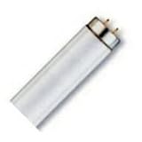 Tools & Hardware : 34-watt T12 fluorescent bulb