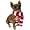 Chihuahua (Tan)