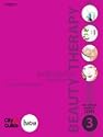 Professional Beauty Therapy: The Official Guide to Level 3