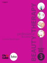 Professional Beauty Therapy: The Official Guide to Level 3