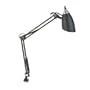 DLT12520000 - Swing Arm Clamp-On Incandescent Lamp