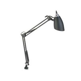 DLT12520000 - Swing Arm Clamp-On Incandescent Lamp
