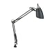 DLT12520000 - Swing Arm Clamp-On Incandescent Lamp