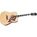 Epiphone Dove Acoustic Guitar Ebony Chrome Hardware