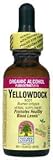 Nature's Answer - Yellowdock Root, 1 fl oz liquid