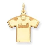 14K Miami Dolphins Med Dolphins Jersey Charm - NF1053