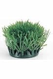 HAGEN ROOTS GROSSOSTIG MAT 3 PACK
