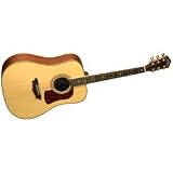 Washburn D52SW Acoustic Guitar