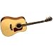 Washburn D52SW Acoustic Guitar