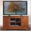 Riverside Furniture Visions 48 Inch TV Stand in Medium Distressed Oak