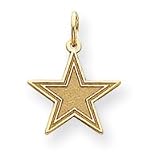 14K Dallas Cowboys X-Sm Satin Star Charm - NF513