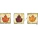 Ablaze With Color~fall Leaves Adult Sweatshirt
