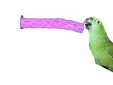 Pollys Pet Products Tooty Fruity Bee Pollen 9in Medium Bird Perch Assorted Flavors