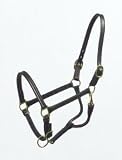 Halter Track Arabian 3/4 Inch