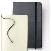 Moleskine Large Sketch Book