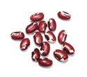 ANASAZI BEANS, 12 - 12 oz. bags