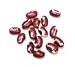 ANASAZI BEANS, 12 - 12 oz. bags