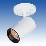 1 Light Flush Mount - White