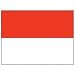 Republic of Indonesia Flag