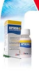 Aiptasia-X