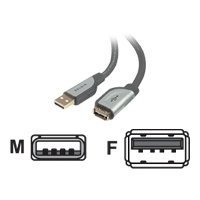 Belkin USB Gold A/A Extension Cable A-M/F - 6Feet