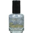SATION Professional Silver Glitter Nail Polish 0.5oz (Color: 45)