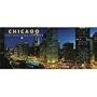Chicago Cool Sites 2009 Panoramic Wall Calendar