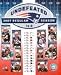 New England Patriots 16-0 Undefeated Photograph