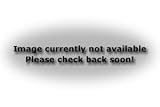  : NASCAR Seat Cushion/Tote - NASCAR