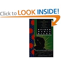 The Notebooks of Malte Laurids Brigge: A Novel