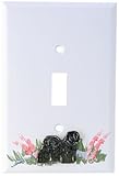 Puli Single Switch Plate Cover