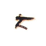 TKD Kick 3