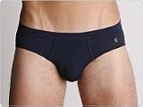 Review   / GrigioPerla Foxtrot Brief