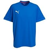 PUMA - PUMA v1.08 Training T-Shirt (Royal)
