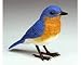 Outdoor Living : Eastern Bluebird Breezy Singers