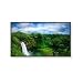 Electronics : 46IN Ws LCD 1920X1080 4000:1 P461 Dvi-d HDmi Blk with full Av