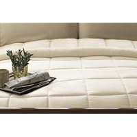 Serasoft Comforter by Berkshire Blanket