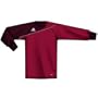 adidas Traversa Goalkeeper Jersey (yellow)