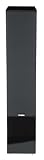 Pinnacle Speaker - BD 2000