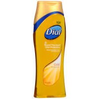 Dial Gold Deodorizing Body Wash with Moisturizers, 16 OZ (Pack of 6)